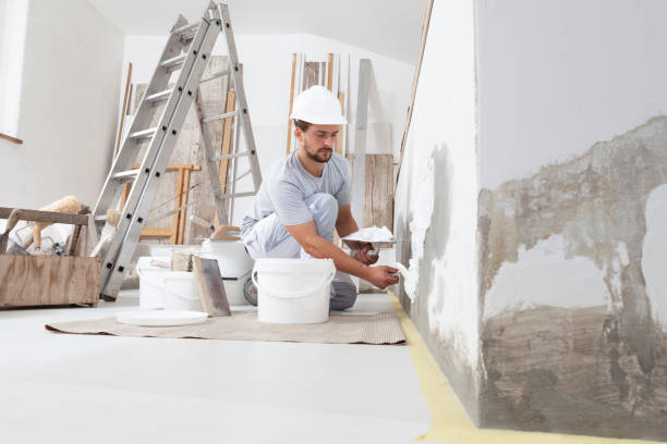 Best Drywall Crack Repair  in Maugansville, MD